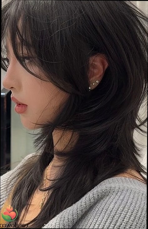 Wolf Cut For Women: 11 Trendy Looks To Ask Your Stylist 7 Long Layered Wolf Cut