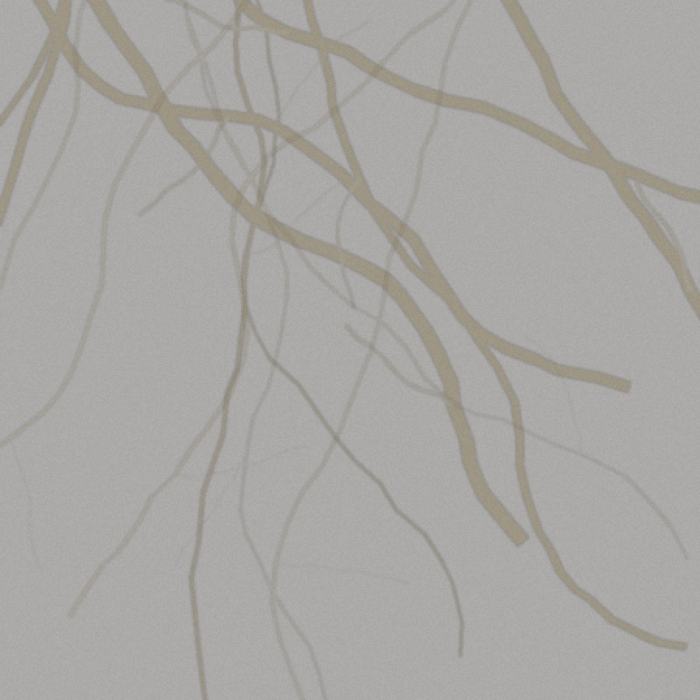 Calacatta Gold Marble Slab 1 Calacatta Gold Marble Slab